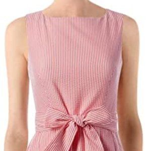 Anne Klein Fit and Flair dress ~ 10